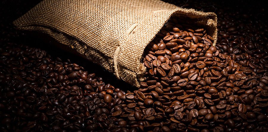 Kahve Ağacı Hakkında İlginç Bilgiler