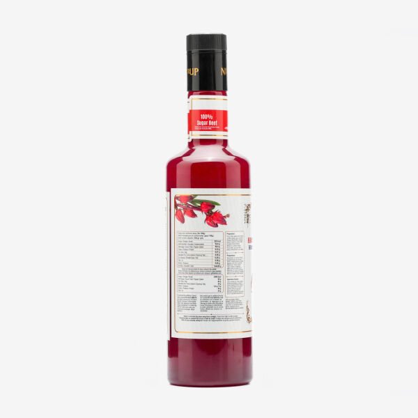 Nish Cool Lime, Berry Hibiskus Aromalı Baz İçecek 2 x 700 ML - Pet Şişe
