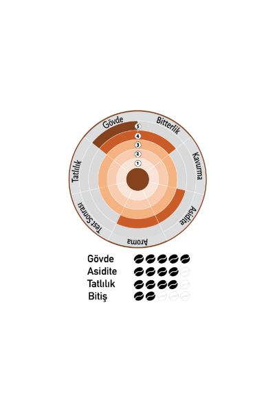 Nish Filtre Kahve Guatemala 3x80 gr