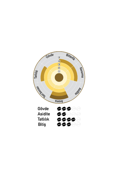 Nish Filtre Kahve Brazil 3x80 gr
