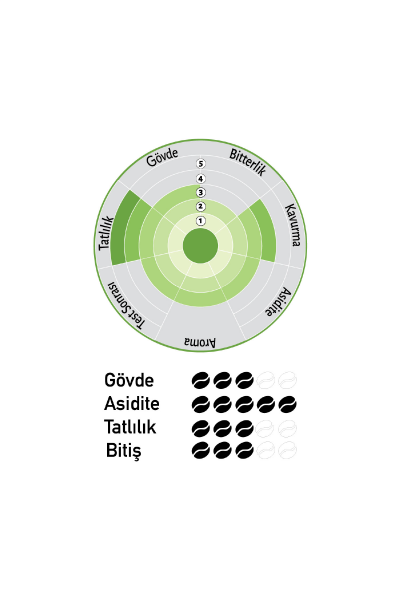 Nish Filtre Kahve Colombia 3x80 Gr.